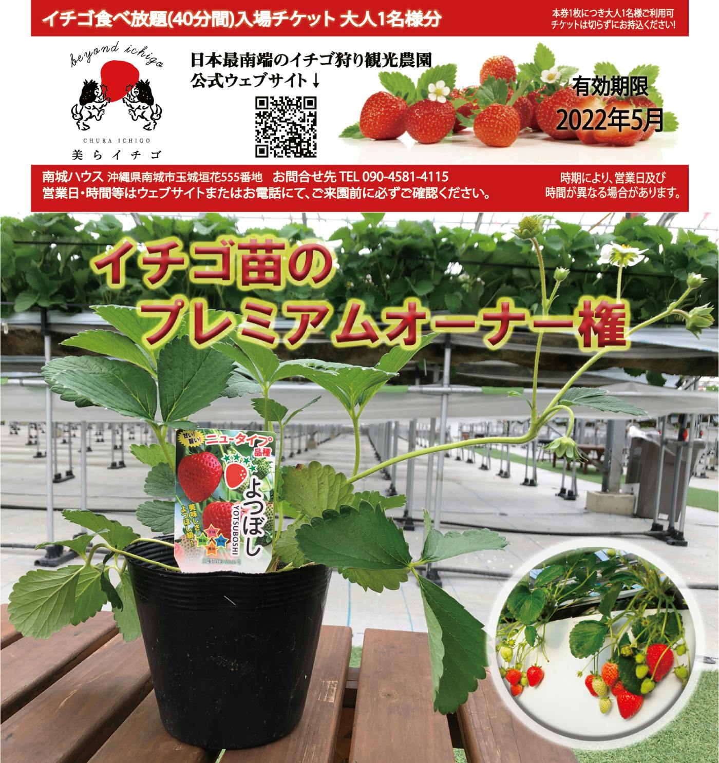 日本最南端のイチゴ観光農園の夢にあなたの力を貸してください Campfire キャンプファイヤー 日本最南端のイチゴ観光農園の夢にあなたの力を貸してください Campfire キャンプファイヤー