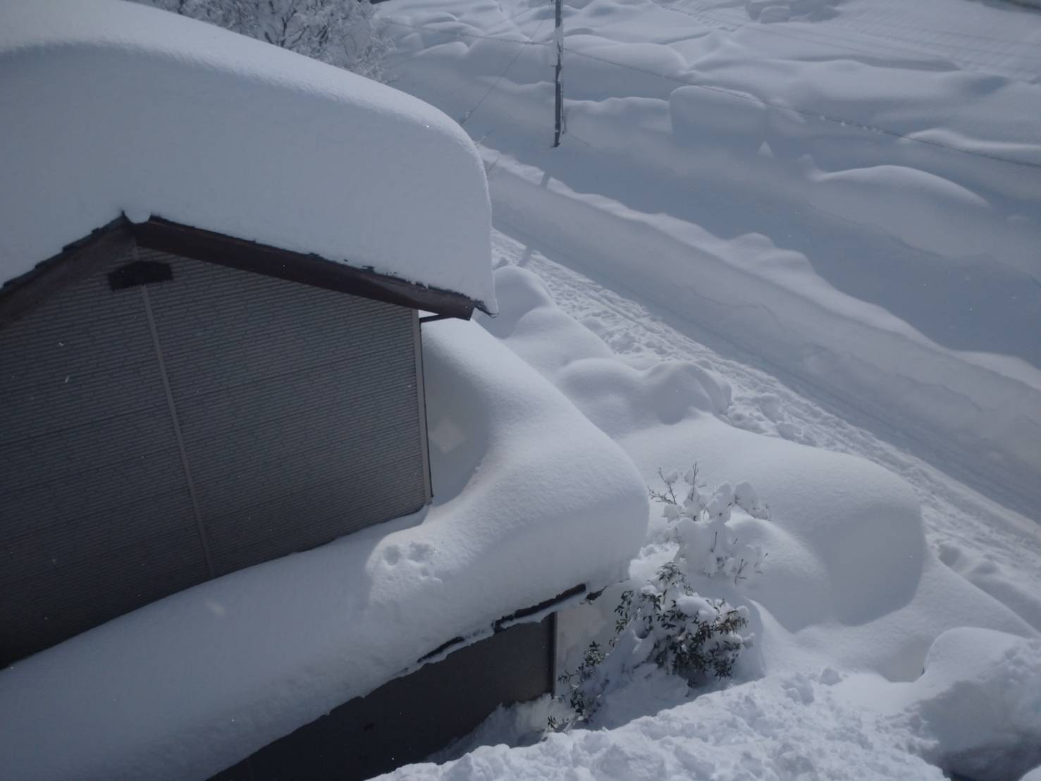豪雪