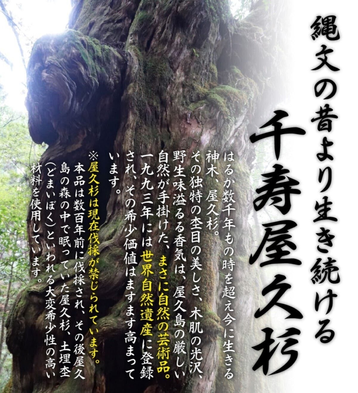 再登場】❖神様の居場所❖ 神木 屋久杉で作る水晶鳥居付き「御札