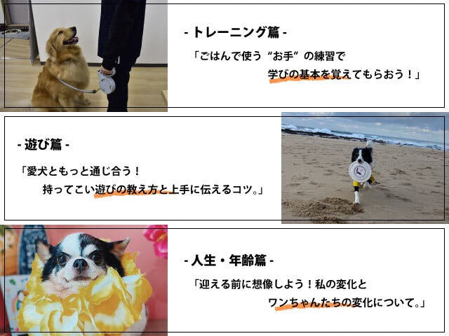 動物の殺処分が無い世界へ 人と犬との暮らしに貢献するwebマガジンを作ります Campfire キャンプファイヤー 動物の殺処分が無い世界へ 人と犬との暮らしに貢献するwebマガジンを作ります Campfire キャンプファイヤー