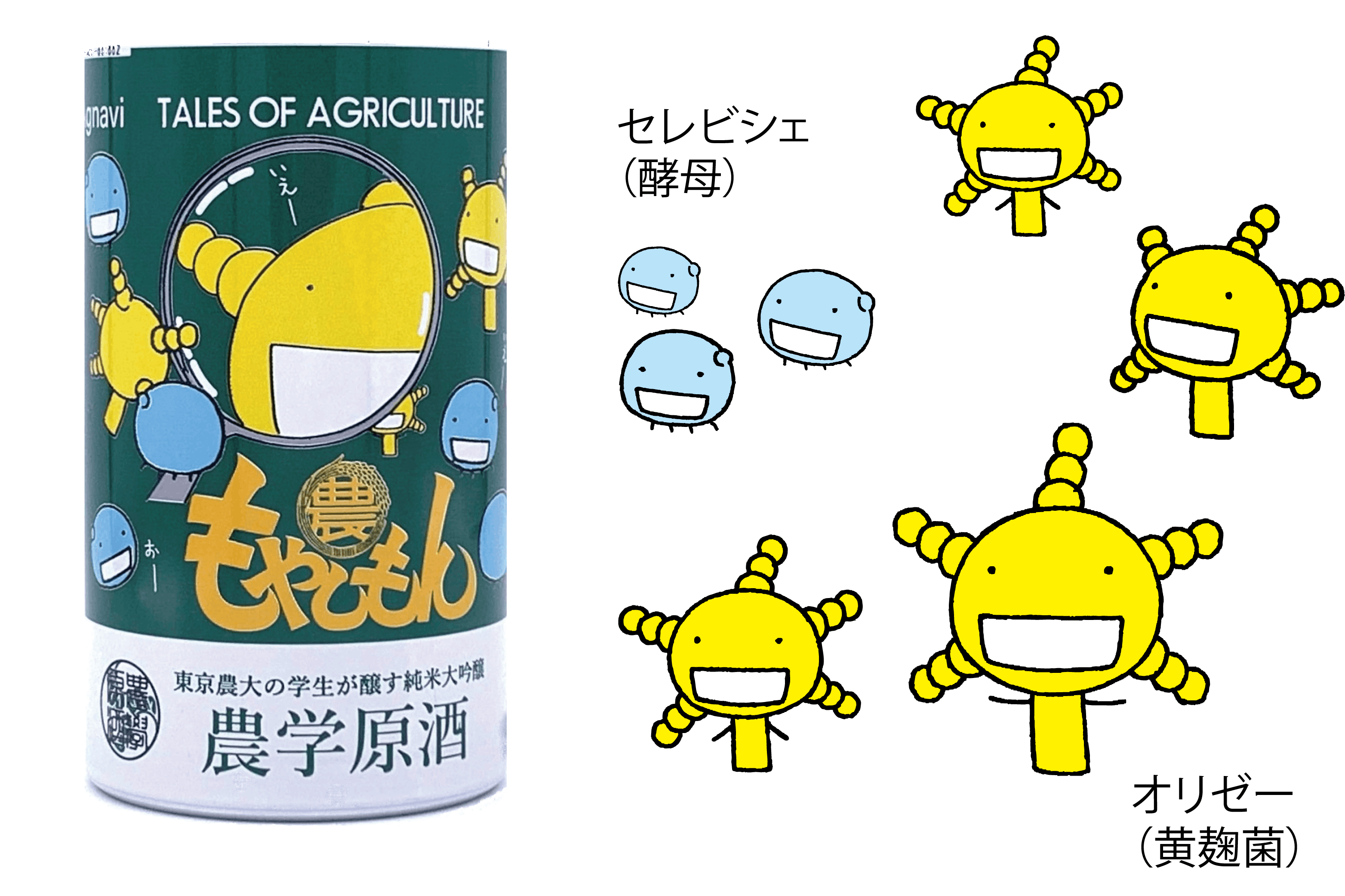 もやしもん 農学原酒 コラボ 東京農大の学生が醸す純米大吟醸を限定缶で届けたい Campfire キャンプファイヤー もやしもん 農学原酒 コラボ 東京農大の学生が醸す純米大吟醸を限定缶で届けたい Campfire キャンプファイヤー