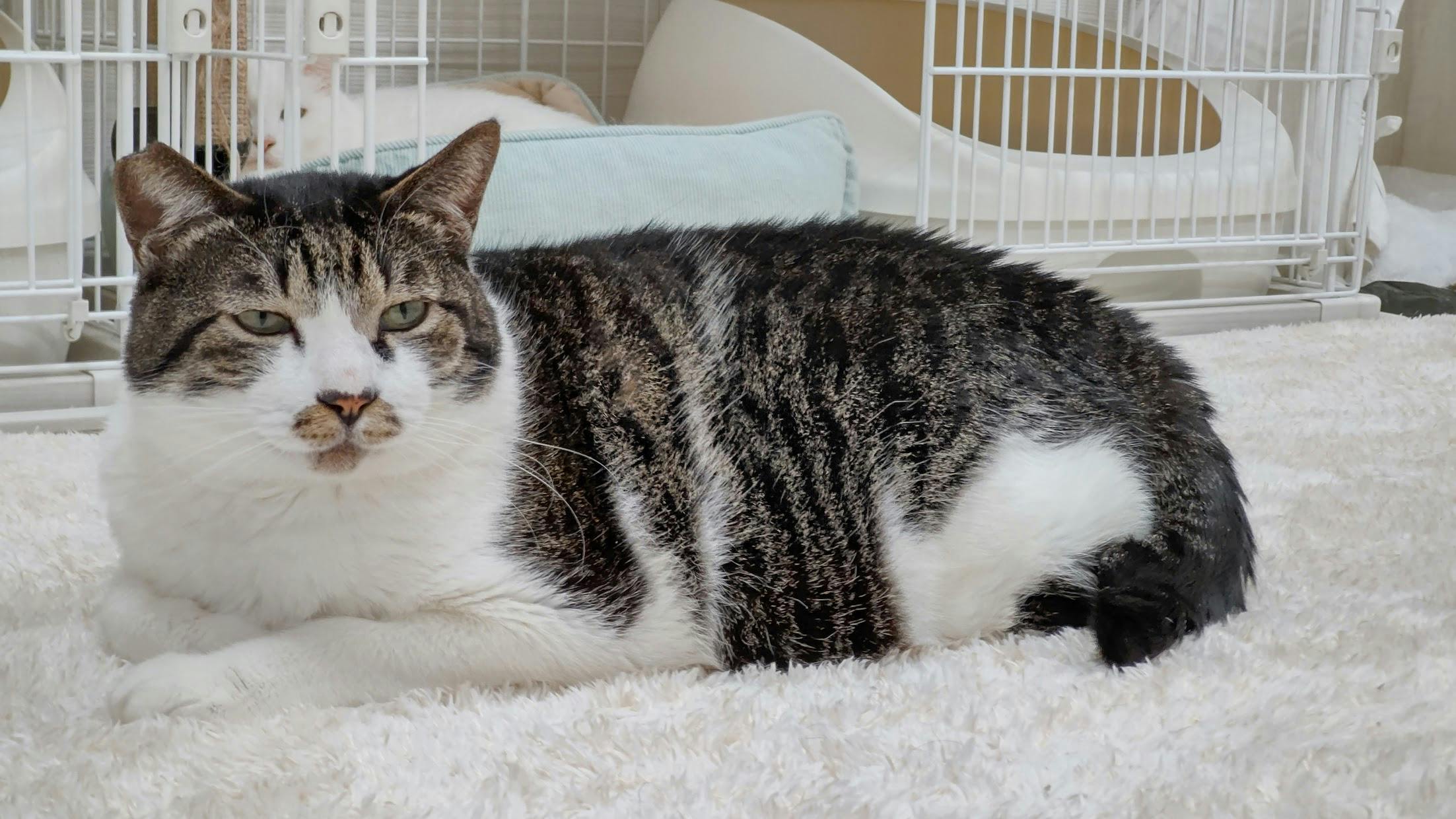 その子その子の個性とキャラクターを伝える事 Goodmorning By Campfire