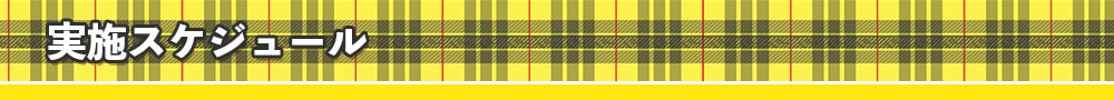 実施スケジュール
