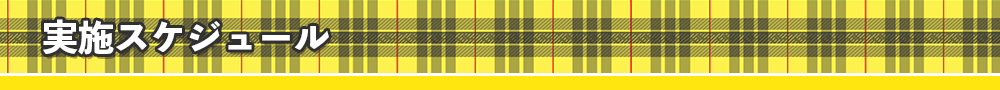 実施スケジュール