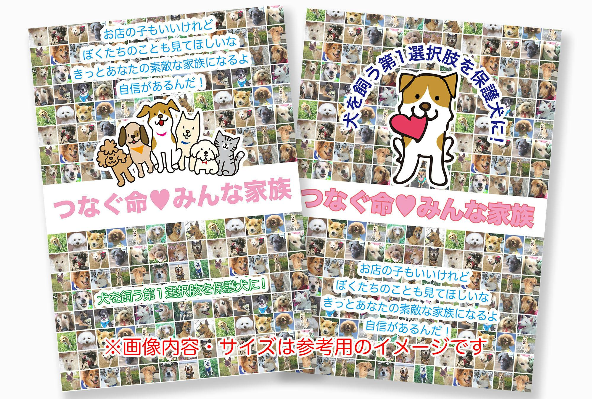 全国5.000ヶ所の小中学校などに命の大切さ伝える保護犬の啓発ポスター