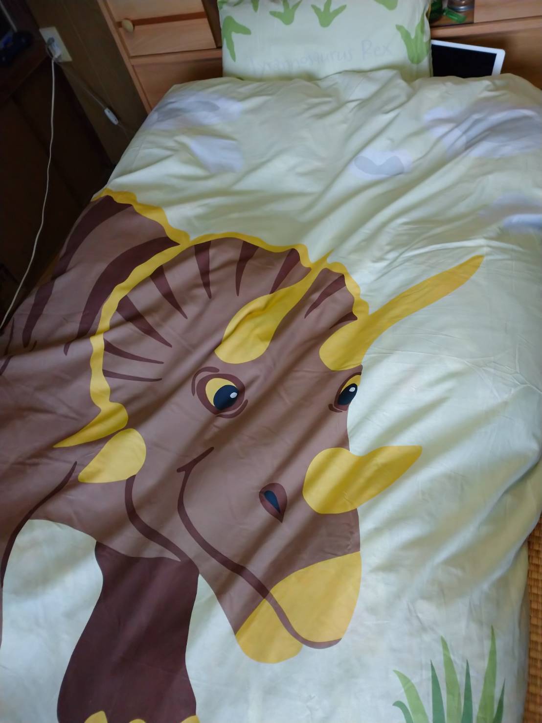 羽毛布団　IKEAの布団カバー