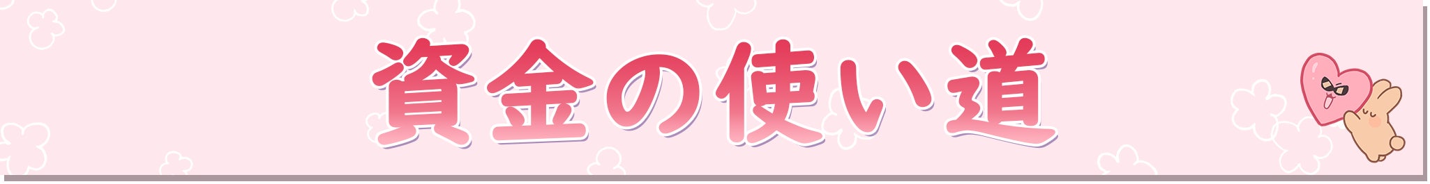 資金の使い道
