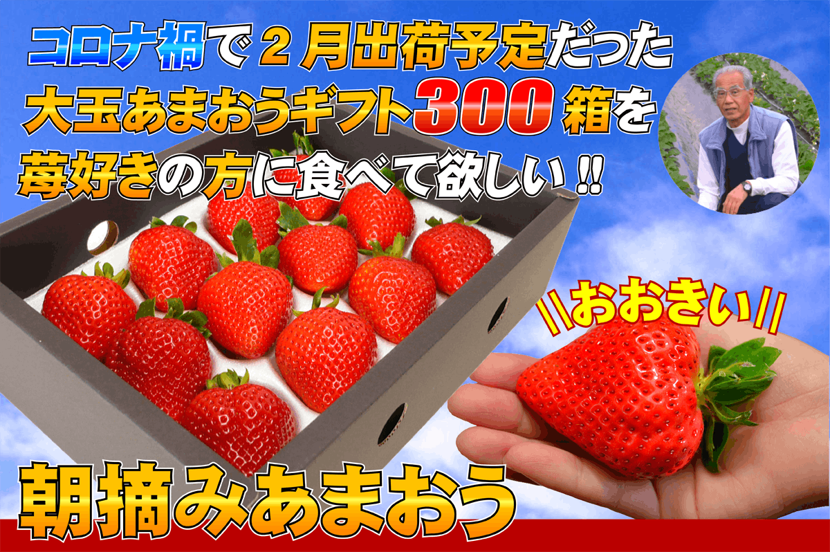 コロナ禍で2月出荷予定だった大玉あまおうギフト300箱を苺好きの方に食べて欲しい Campfire キャンプファイヤー コロナ禍で2月出荷予定だった大玉あまおうギフト300箱を苺好きの方に食べて欲しい Campfire キャンプファイヤー