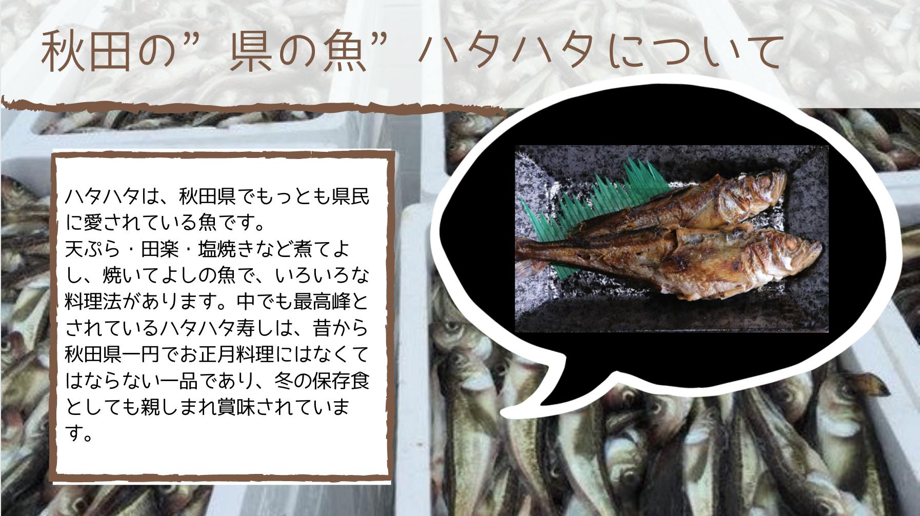 コロナ は漁業界にも大打撃 秋田の海を救え 自慢の 加工品 を食べでけれぇ Campfire キャンプファイヤー コロナ は漁業界にも大打撃 秋田の海を救え 自慢の 加工品 を食べでけれぇ Campfire キャンプファイヤー