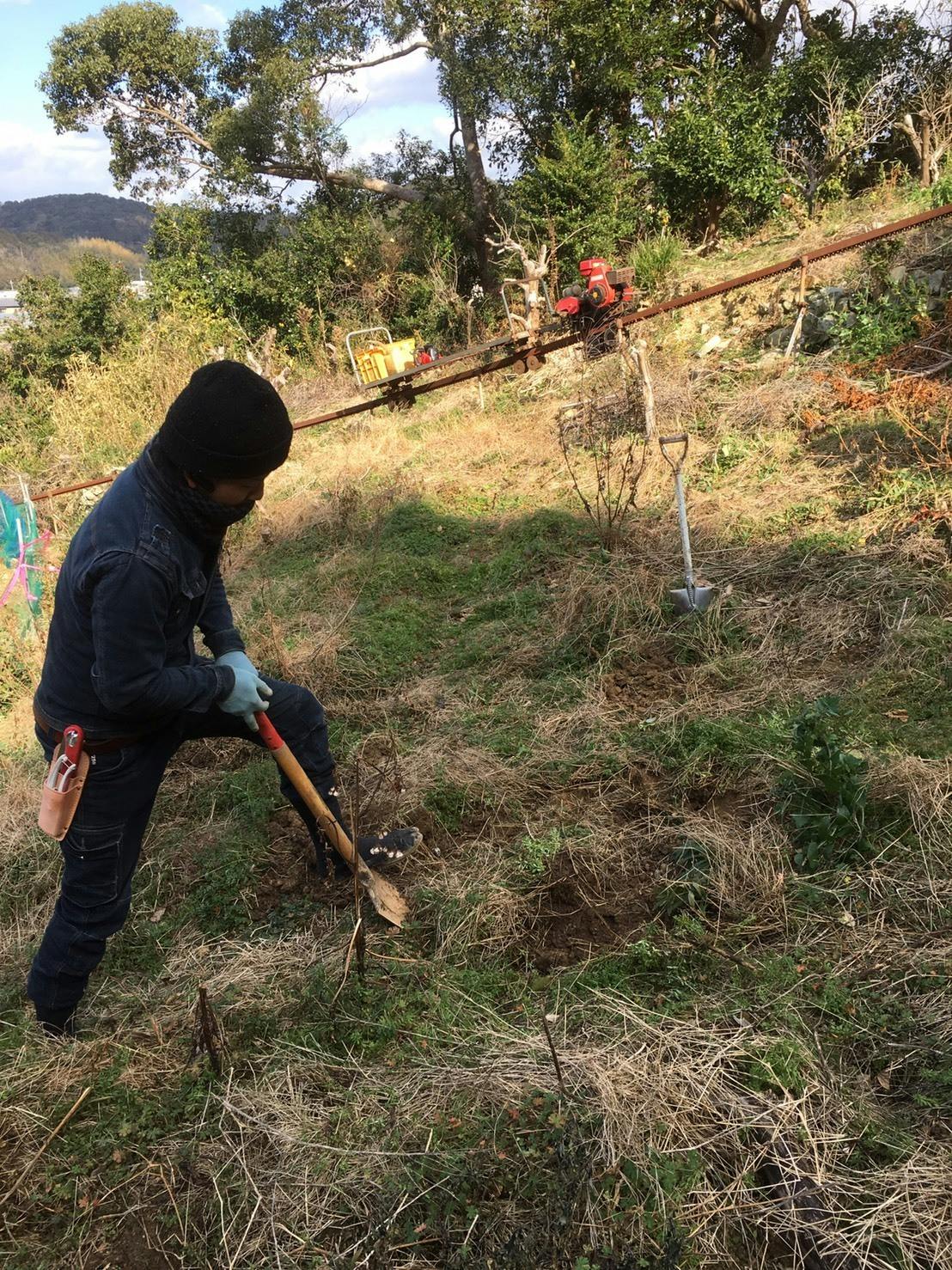 耕作放棄地を再生して みかん畑を作りたい Campfire キャンプファイヤー 耕作放棄地を再生して みかん畑を作りたい Campfire キャンプファイヤー