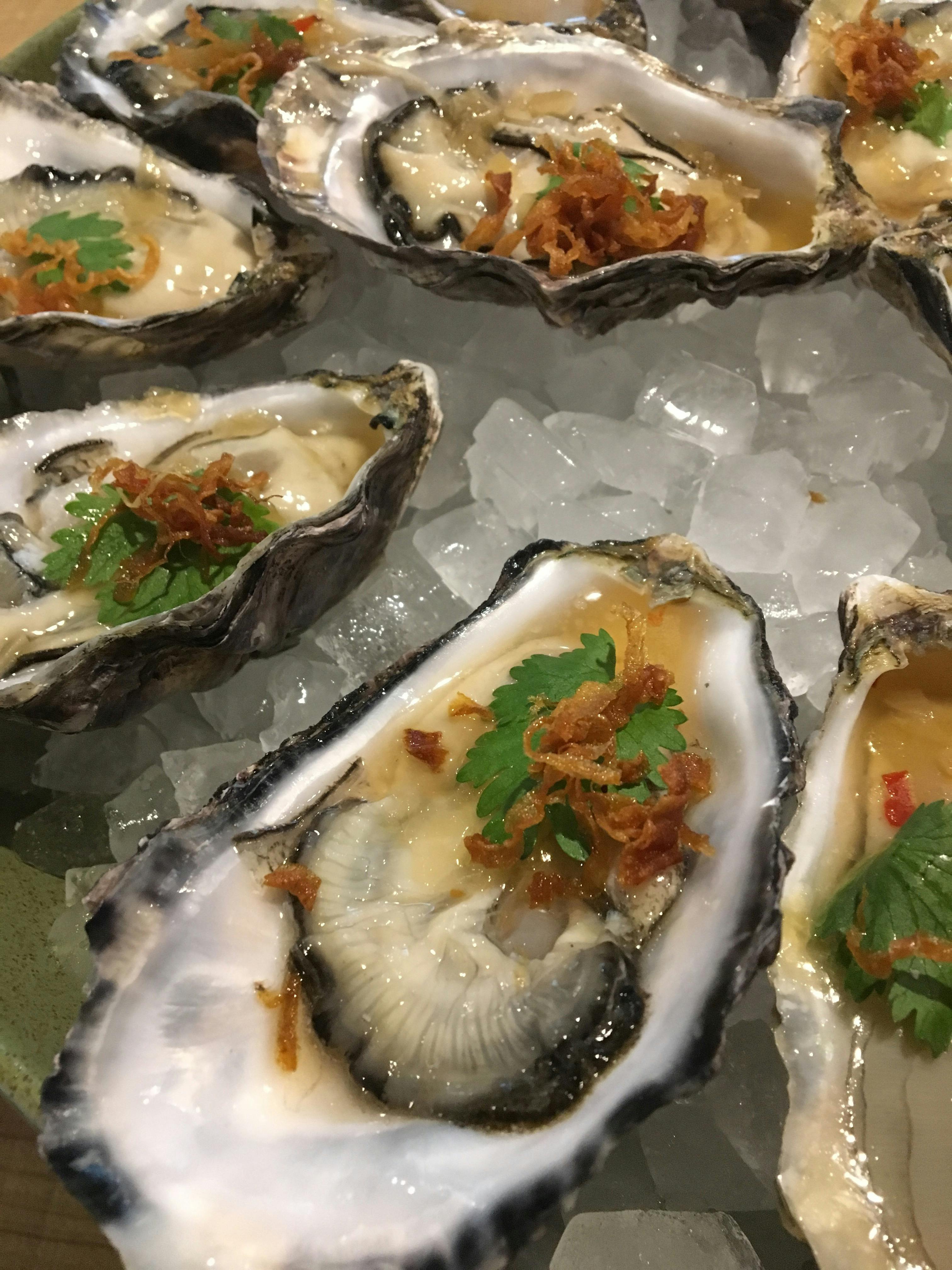 新ブランド真牡蠣 あまべ牡蠣 本格生産プロジェクト 新しい形の水産業をつくる Campfire キャンプファイヤー