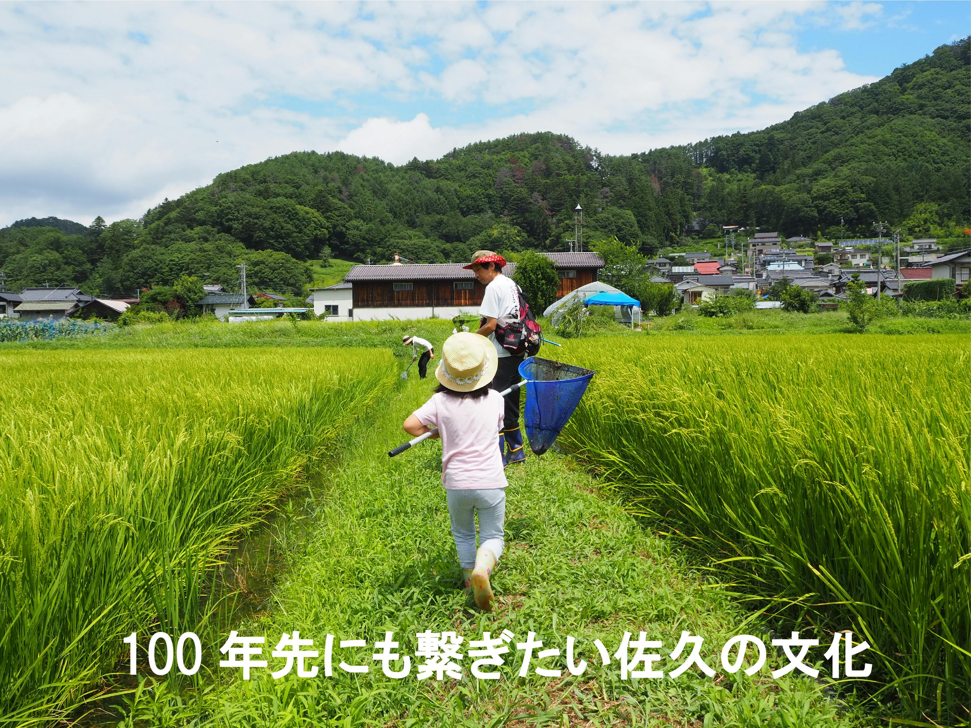 暮らしの中に農を みんなで耕しみんなで創る コミュニティ農園 をつくりたい Campfire キャンプファイヤー