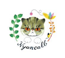 新しい家族探しを余儀なくされた高齢の闘病猫たちを守りたい Campfire キャンプファイヤー 新しい家族探しを余儀なくされた高齢の闘病猫たちを守りたい Campfire キャンプファイヤー