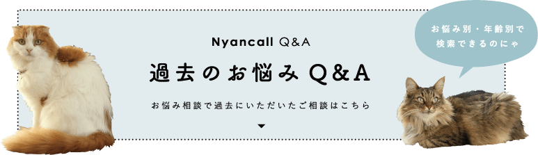 新しい家族探しを余儀なくされた高齢の闘病猫たちを守りたい Campfire キャンプファイヤー 新しい家族探しを余儀なくされた高齢の闘病猫たちを守りたい Campfire キャンプファイヤー