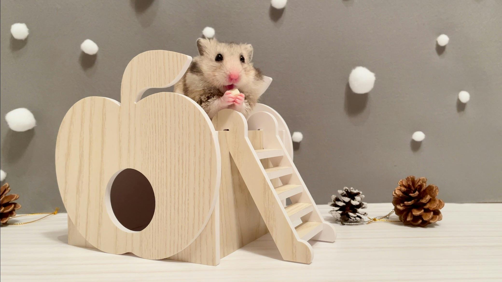 インテリアとしても！洗えて清潔な小動物専用ハウス「HAMSTER BOX」 - CAMPFIRE (キャンプファイヤー)