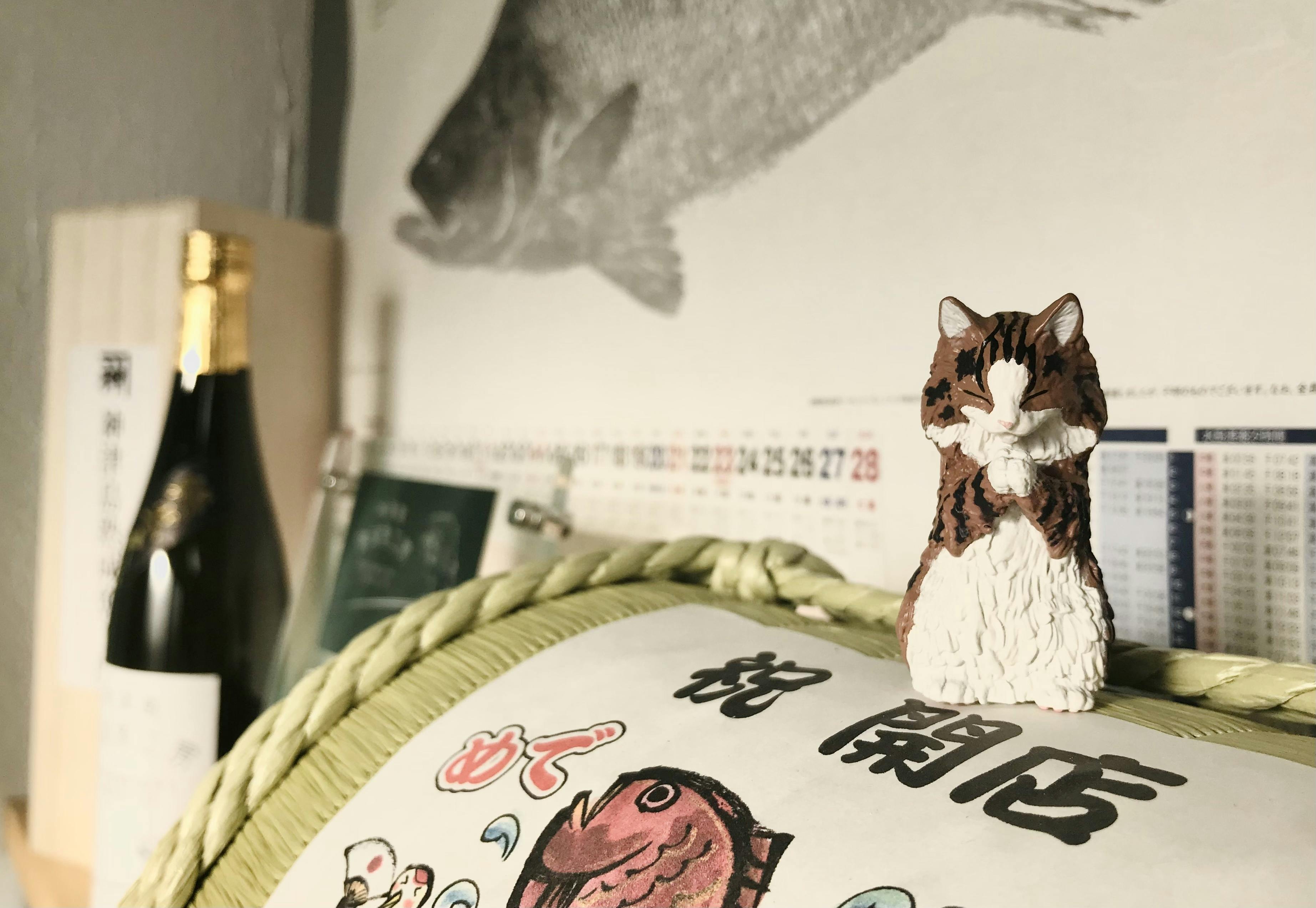神津島名産の高級アカイカ ケンサキイカ を沢山の方に届けたい Campfire キャンプファイヤー 神津島名産の高級アカイカ ケンサキイカ を沢山の方に届けたい Campfire キャンプファイヤー