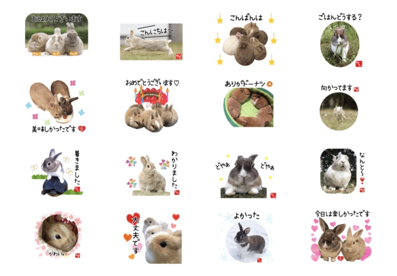 コロナ禍だから 31羽のもふもふうさぎ日めくりカレンダー で笑顔だらけにしたい Campfire キャンプファイヤー コロナ禍だから 31羽のもふもふうさぎ日めくりカレンダー で笑顔だらけにしたい Campfire キャンプファイヤー