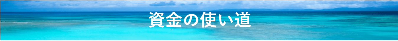 波照間島と伊平屋島の純黒糖 手作りサーターアンダギーをお手頃価格で届けたい Campfire キャンプファイヤー 波照間島と伊平屋島の純黒糖 手作りサーターアンダギーをお手頃価格で届けたい Campfire キャンプファイヤー