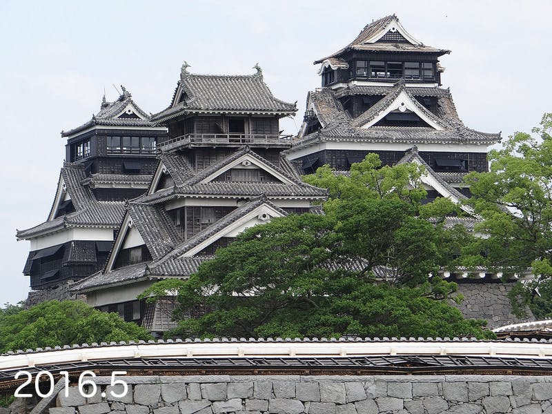 第二弾 くまモンtシャツを着て熊本城の復興を応援しよう Campfire キャンプファイヤー 第二弾 くまモンtシャツを着て熊本城の復興を応援しよう Campfire キャンプファイヤー