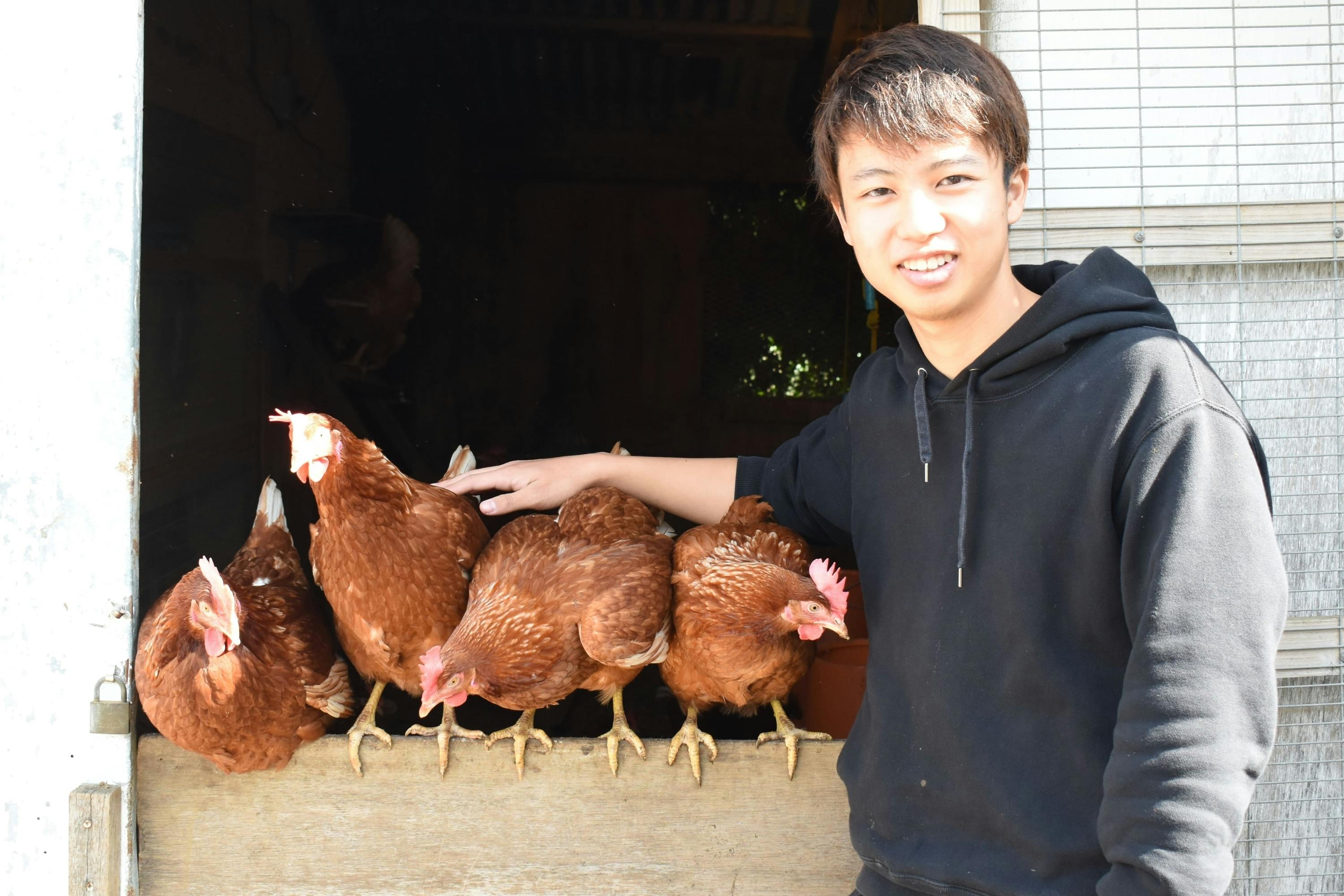 200個入り 宮下養鶏の朝採れ平飼い卵 品揃え豊富で - その他