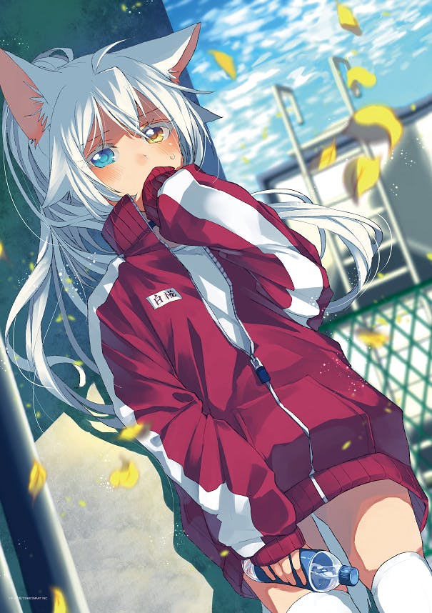 【猫娘症候群】クラファン 画集 猫娘症候群』画集制作プロジェクト - CAMPFIRE (キャンプファイヤー)