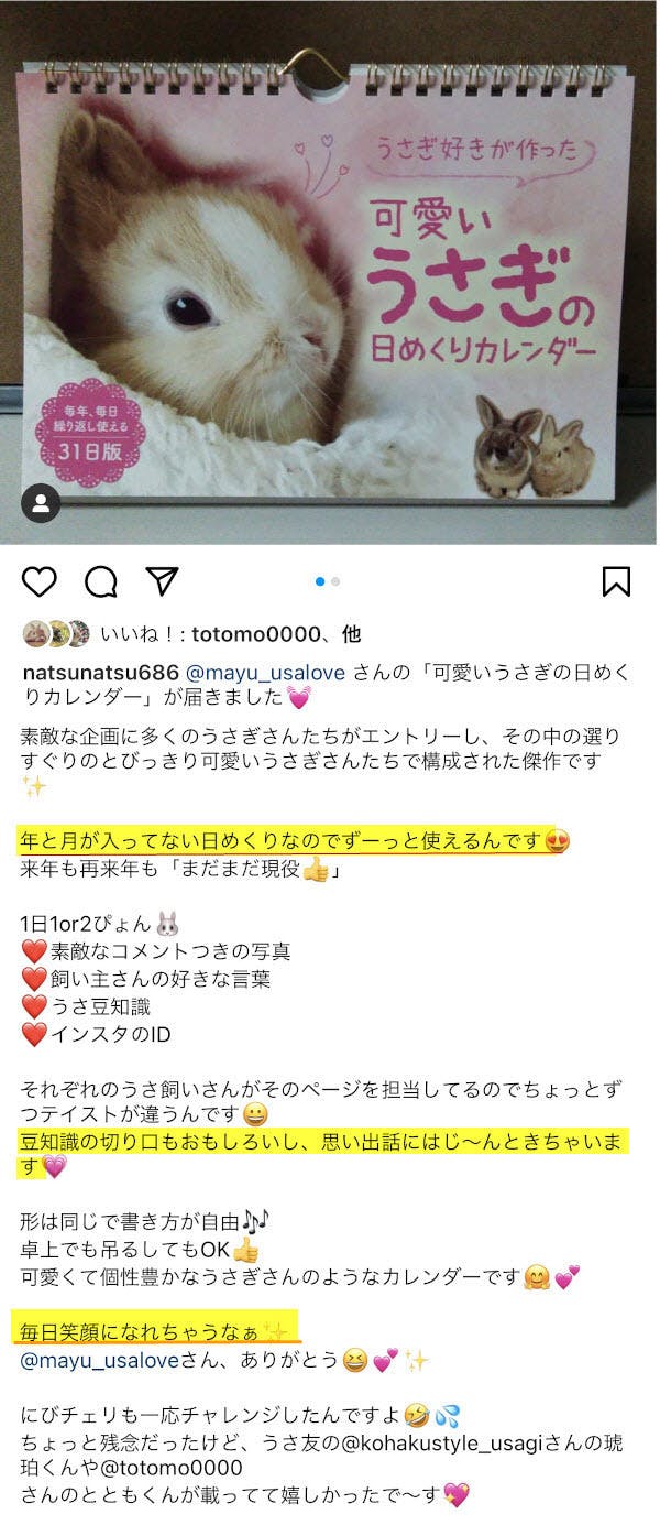 コロナ禍だから 31羽のもふもふうさぎ日めくりカレンダー で笑顔だらけにしたい Campfire キャンプファイヤー コロナ禍だから 31羽のもふもふうさぎ日めくりカレンダー で笑顔だらけにしたい Campfire キャンプファイヤー