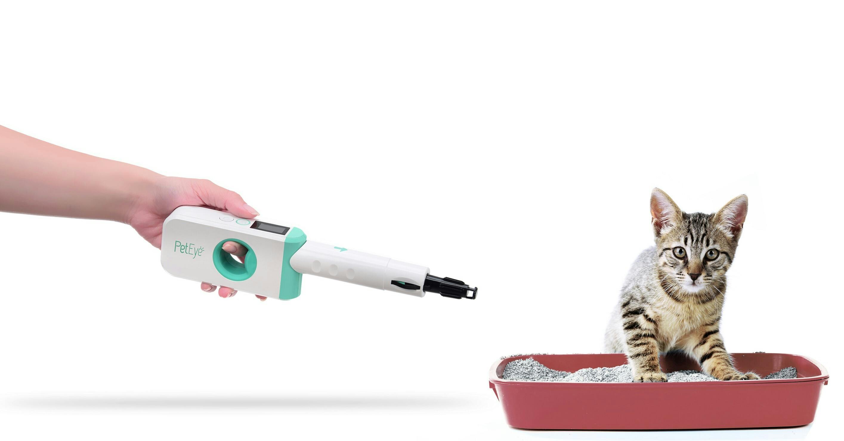 一緒に暮らすネコちゃんの幸せの為に 病気の予兆を見逃さない Peteye1 Campfire キャンプファイヤー