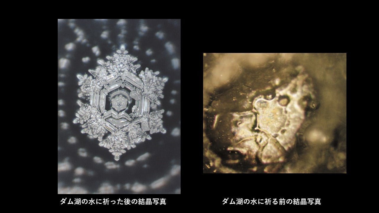 人々の意識を変えた「水からの伝言」のファイナルを出版したい!人々の意識を変えた「水からの伝言」のファイナルを出版したい!