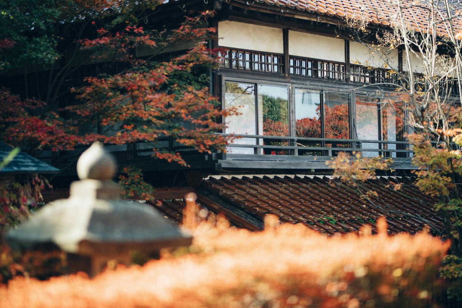 1300年の長い歴史を持つ加賀温泉郷を、未来に繋いでいきたい