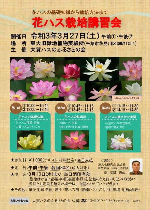 大賀ハスのふるさとを守りたい Campfire キャンプファイヤー 大賀ハスのふるさとを守りたい Campfire キャンプファイヤー