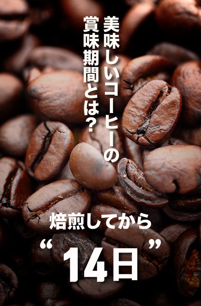 ワンタッチで強力真空保管 6ヶ月以上新鮮で美味しいコーヒーの秘密カプセル ジニー Campfire キャンプファイヤー
