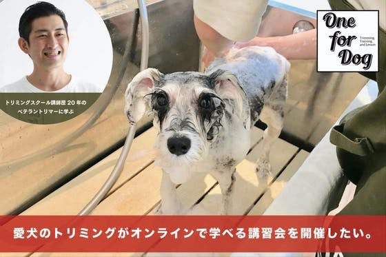 愛犬のトリミングがオンラインで学べる講習会を開催したい。