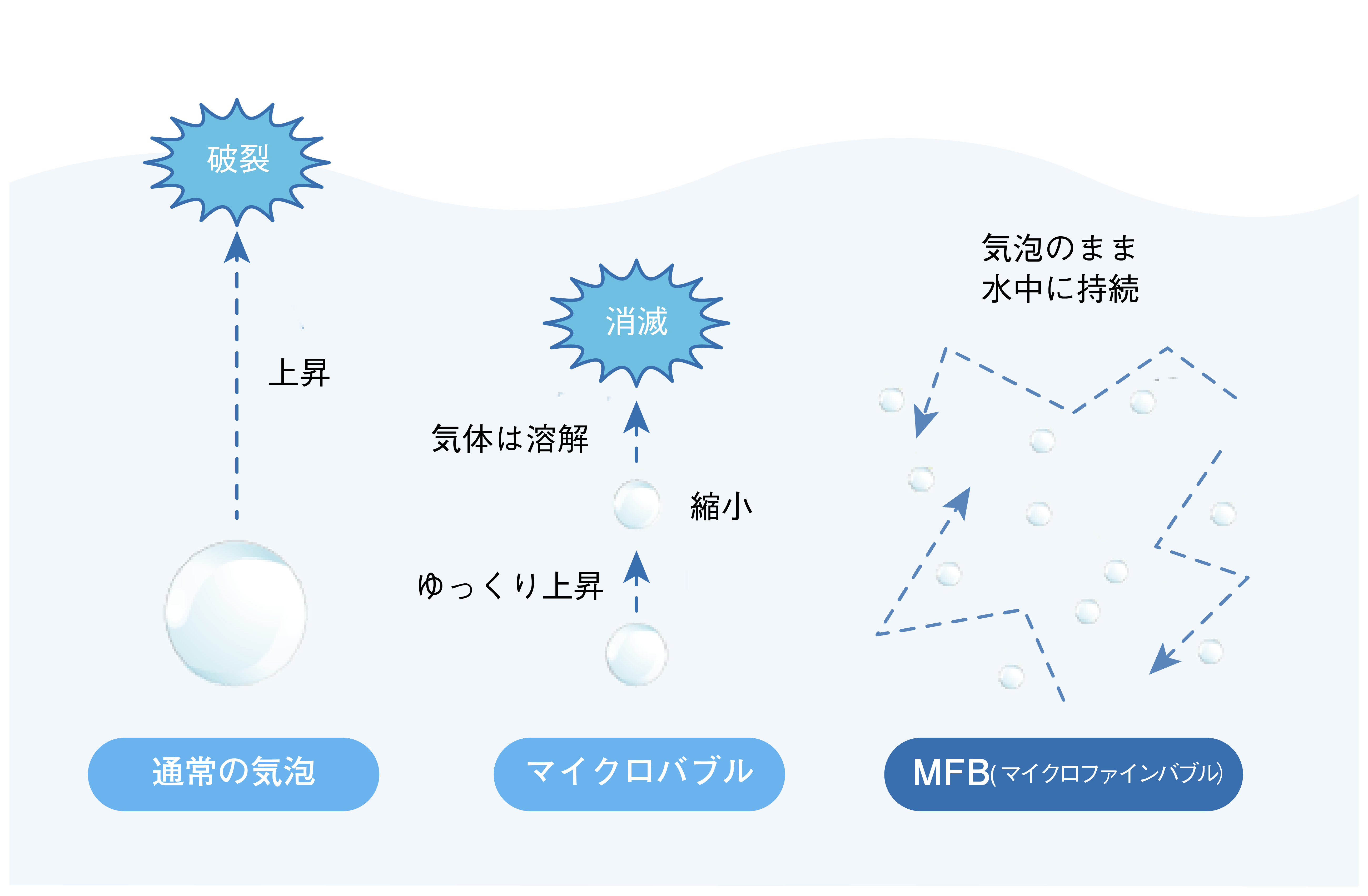 夢のお洗濯セット【バブッシュ】とは？ - エコでサステナブルなお洗濯をバブッシュ販売店ショコラ