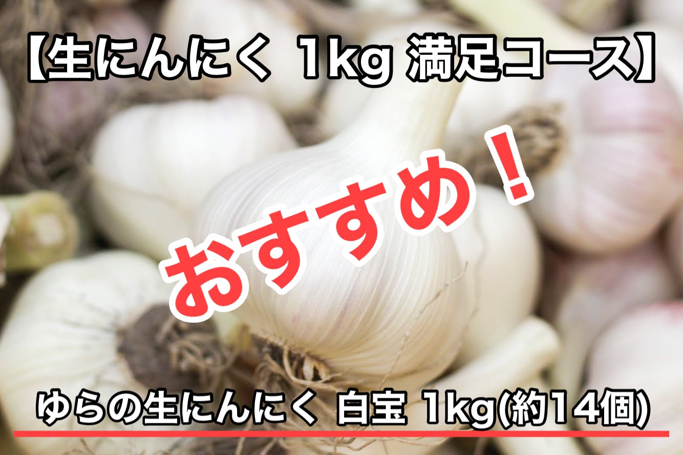 5月が旬の生にんにくがとにかく美味しくて最高なので和歌山県由良町からお届けしたい Campfire キャンプファイヤー 5月が旬の生にんにくがとにかく美味しくて最高なので和歌山県由良町からお届けしたい Campfire キャンプファイヤー