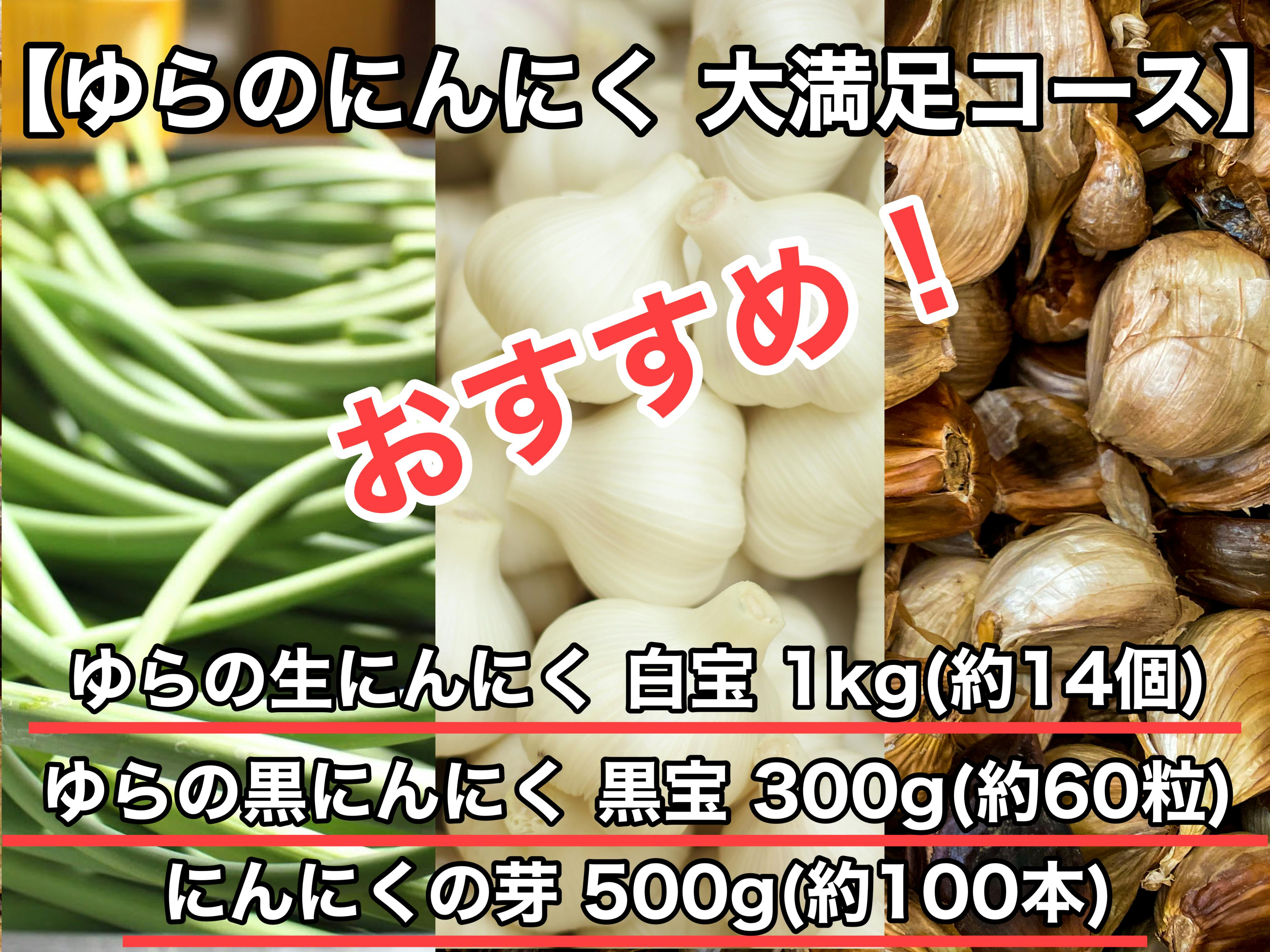 国産埼玉県産にんにくニンニク500gサービスあり 最大58％オフ！ - 野菜