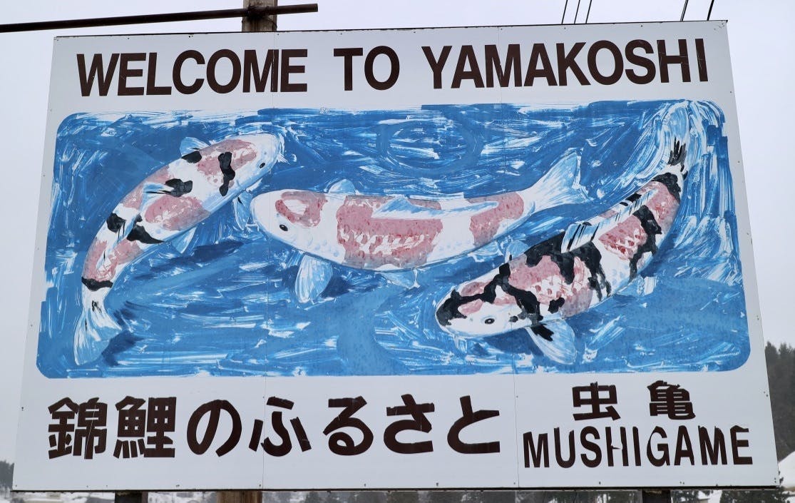 キャンプファイヤー