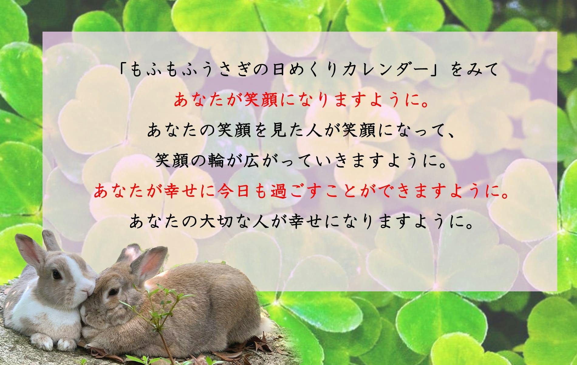 コロナ禍だから 31羽のもふもふうさぎ日めくりカレンダー で笑顔だらけにしたい Campfire キャンプファイヤー コロナ禍だから 31羽のもふもふうさぎ日めくりカレンダー で笑顔だらけにしたい Campfire キャンプファイヤー