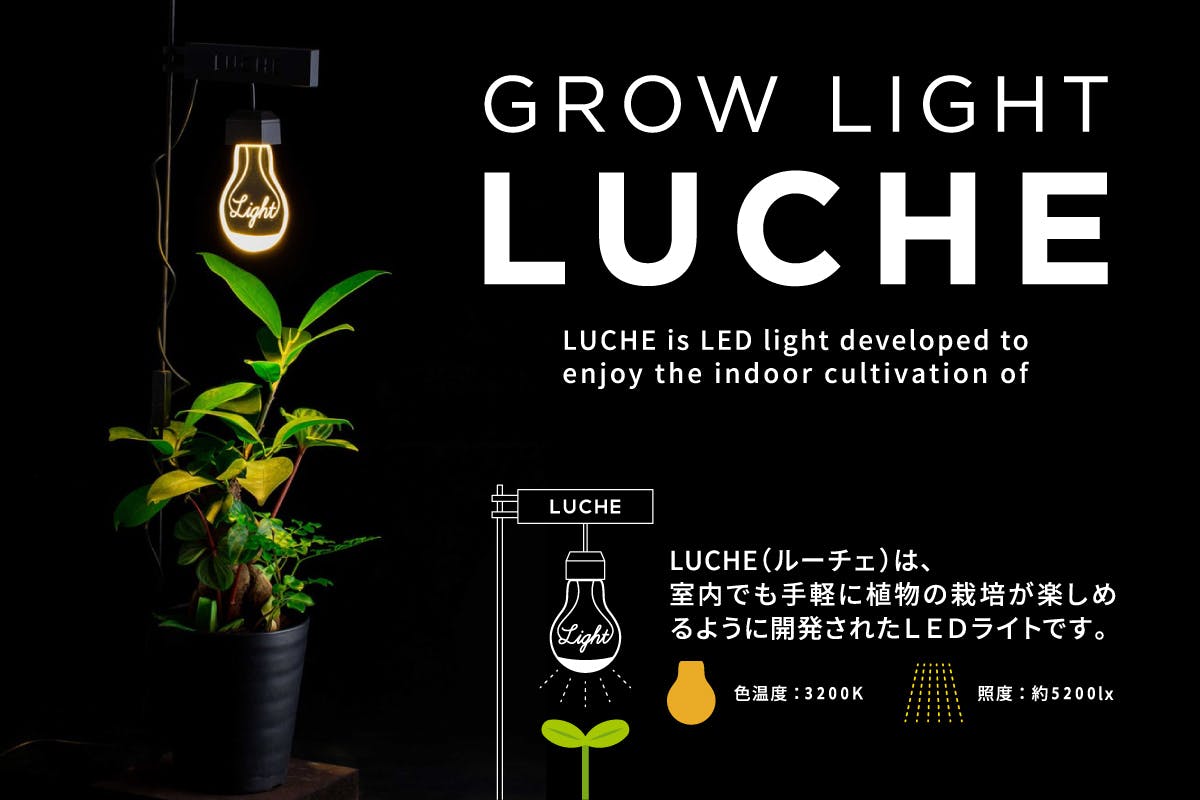 第2弾 植物インテリア栽培ライトluche 新しい室内の楽しみ 癒しの空間 Campfire キャンプファイヤー 第2弾 植物インテリア栽培ライトluche 新しい室内の楽しみ 癒しの空間 Campfire キャンプファイヤー