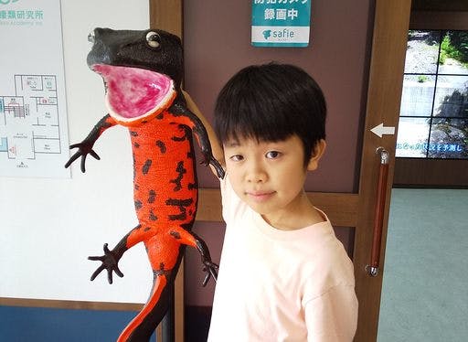 絶滅危惧種の生き物たちを今救いたい Timeleapacademy 生の挑戦 Campfire キャンプファイヤー 絶滅危惧種の生き物たちを今救いたい Timeleapacademy 生の挑戦 Campfire キャンプファイヤー