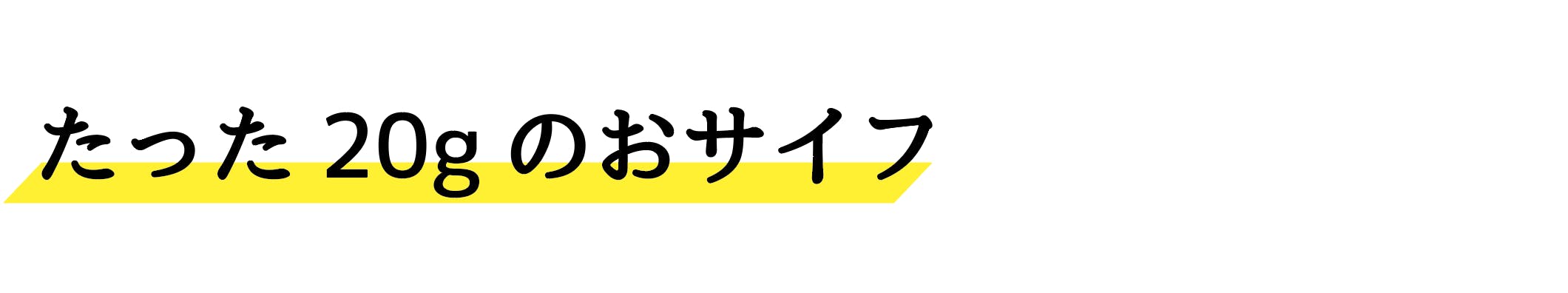 　たった２０ｇのお財布