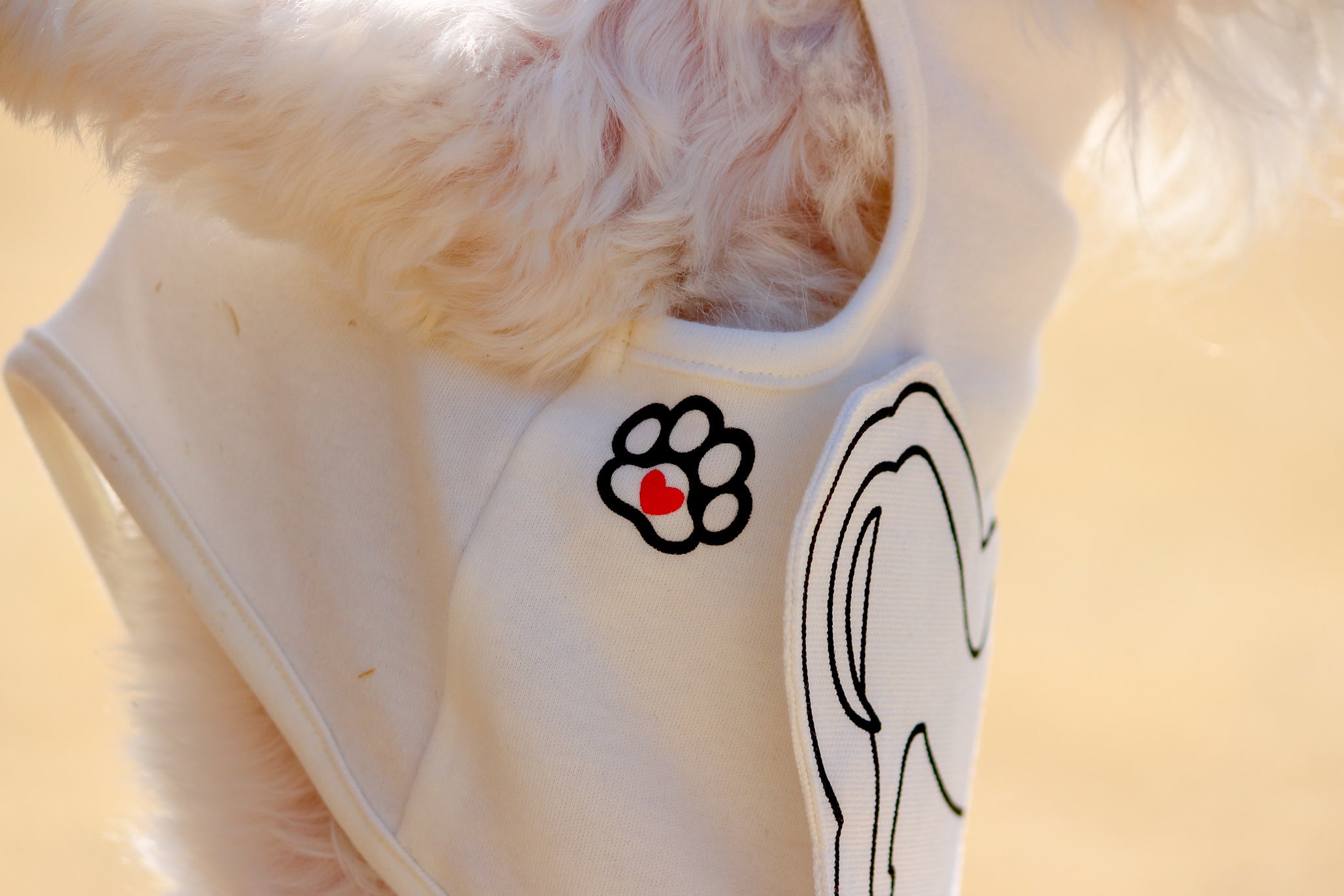 レスキューロゴ