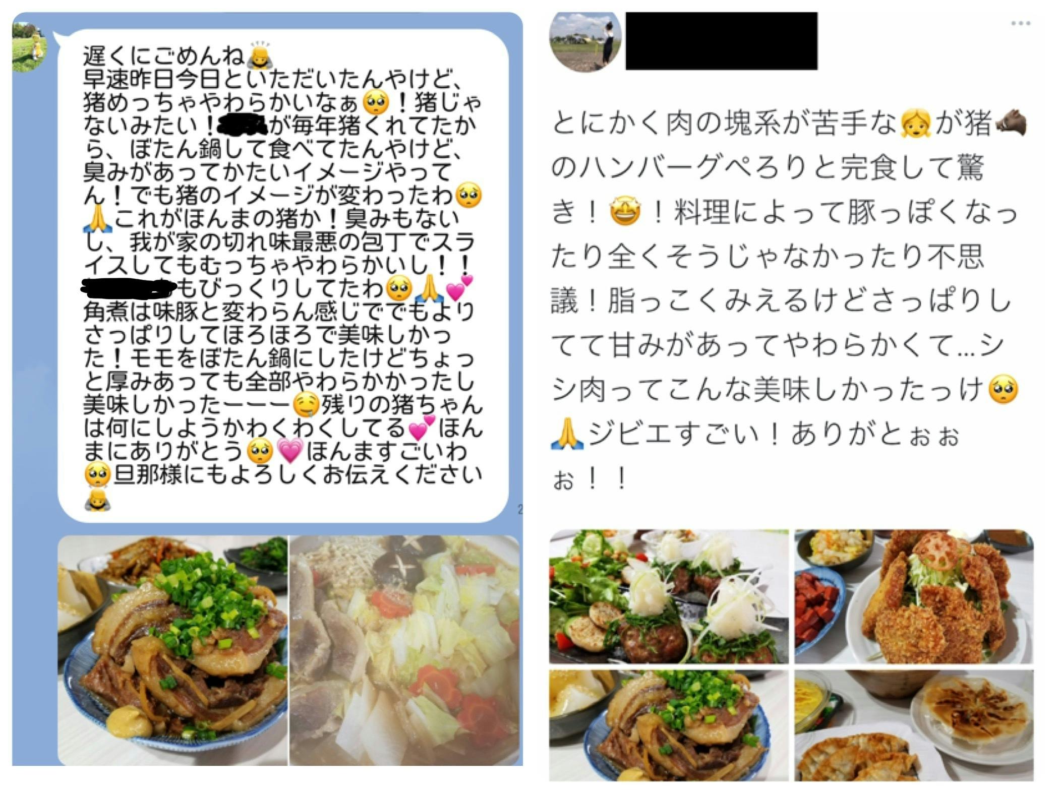 栄養価が豚肉や牛肉の2～4倍！！農家さんを悩ます猪、鹿をジビエとして皆さんに！！ - CAMPFIRE (キャンプファイヤー)