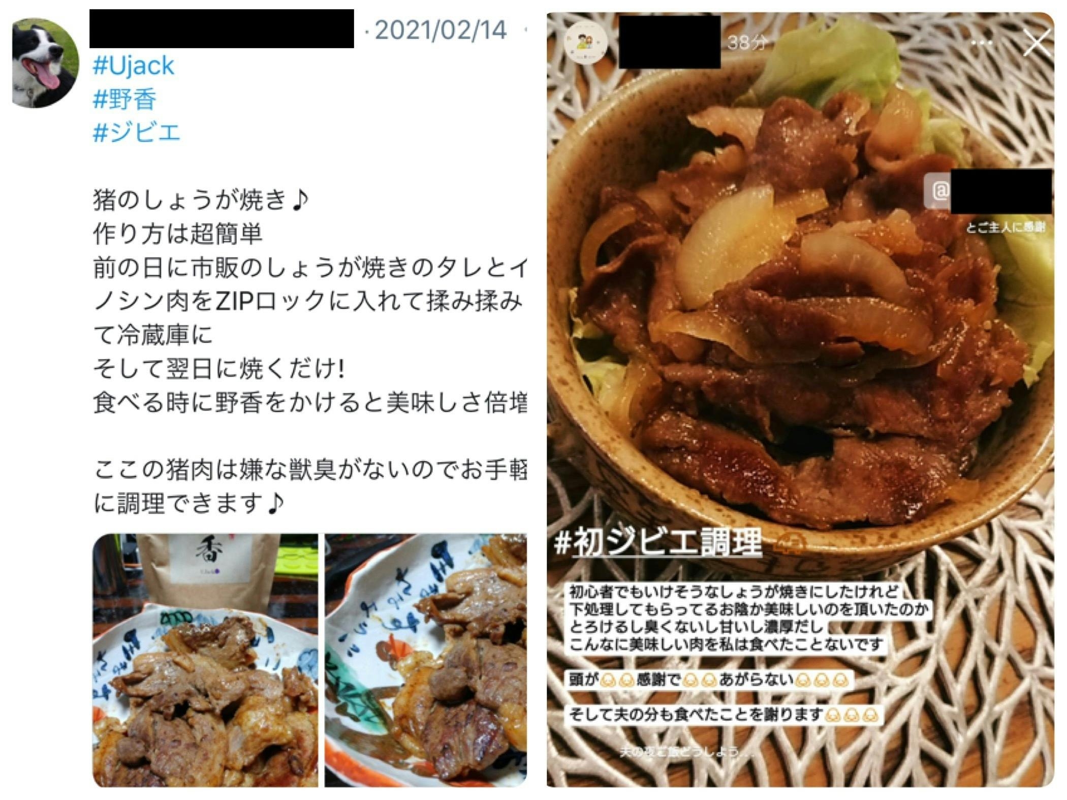 栄養価が豚肉や牛肉の2～4倍！！農家さんを悩ます猪、鹿をジビエとして皆さんに！！ - CAMPFIRE (キャンプファイヤー)