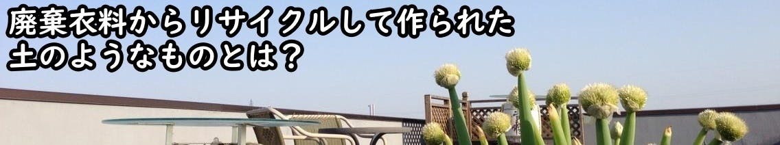 キャンプファイヤー