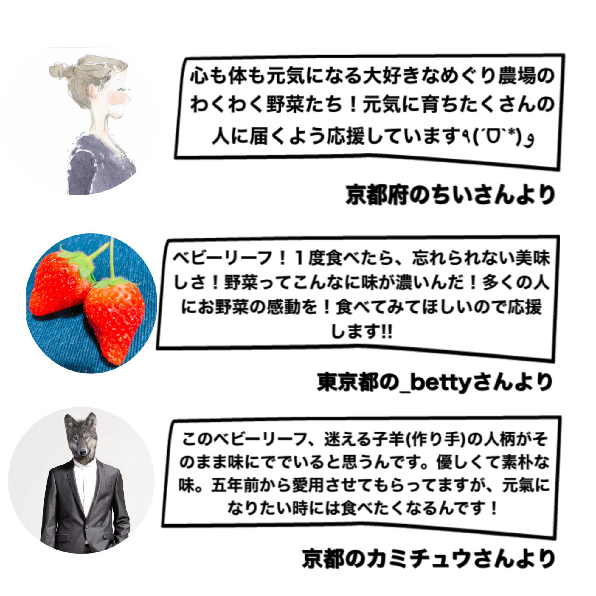 食べるたびに味と食感が変わる オーガニックベビーリーフを作りたいです Campfire キャンプファイヤー 食べるたびに味と食感が変わる オーガニックベビーリーフを作りたいです Campfire キャンプファイヤー