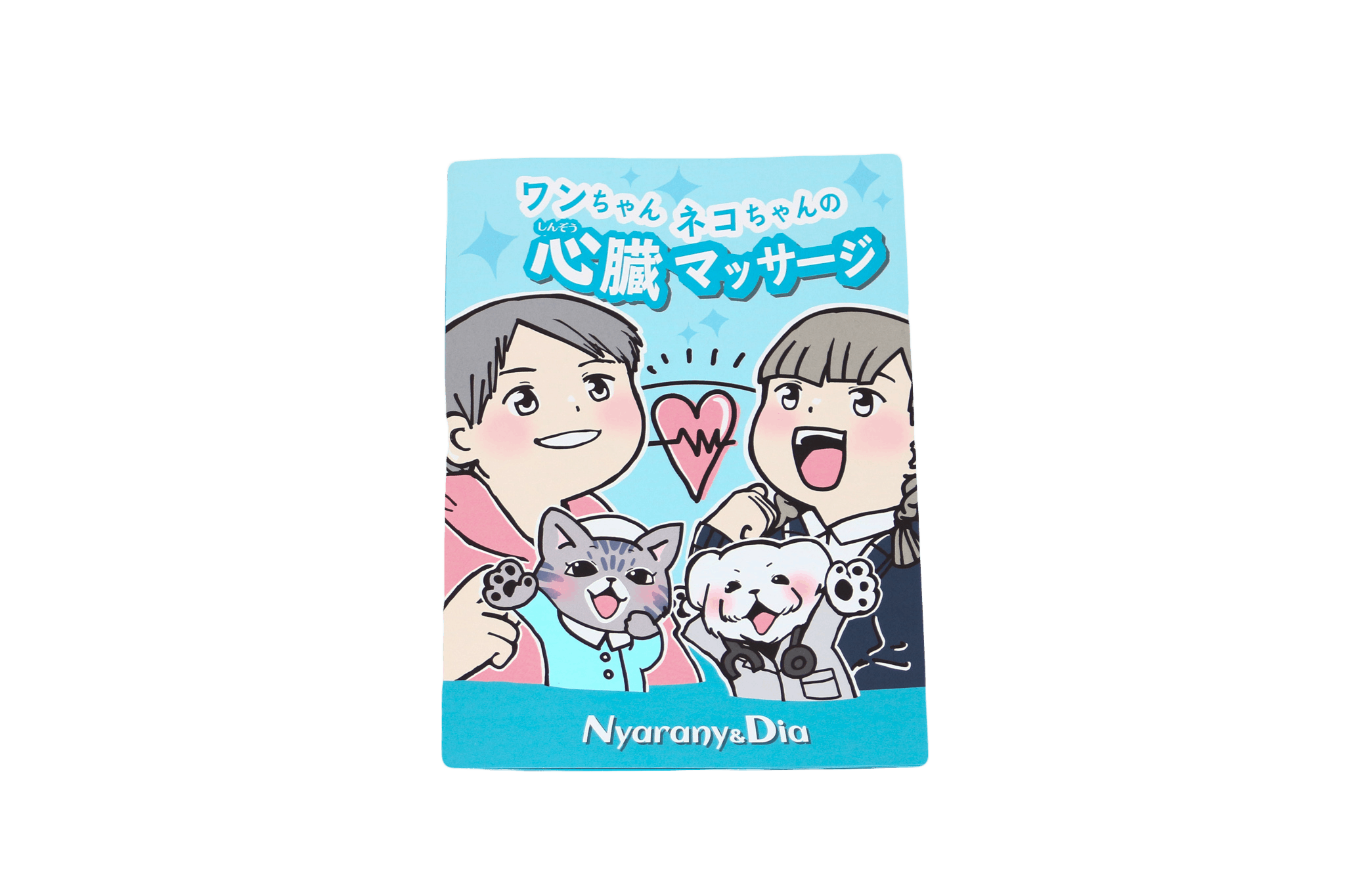 たった3分でペットを救うヒーローに 犬猫の心肺蘇生法を広めたい Campfire キャンプファイヤー たった3分でペットを救うヒーローに 犬猫の心肺蘇生法を広めたい Campfire キャンプファイヤー