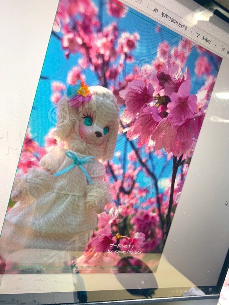 IMG_3863.jpeg