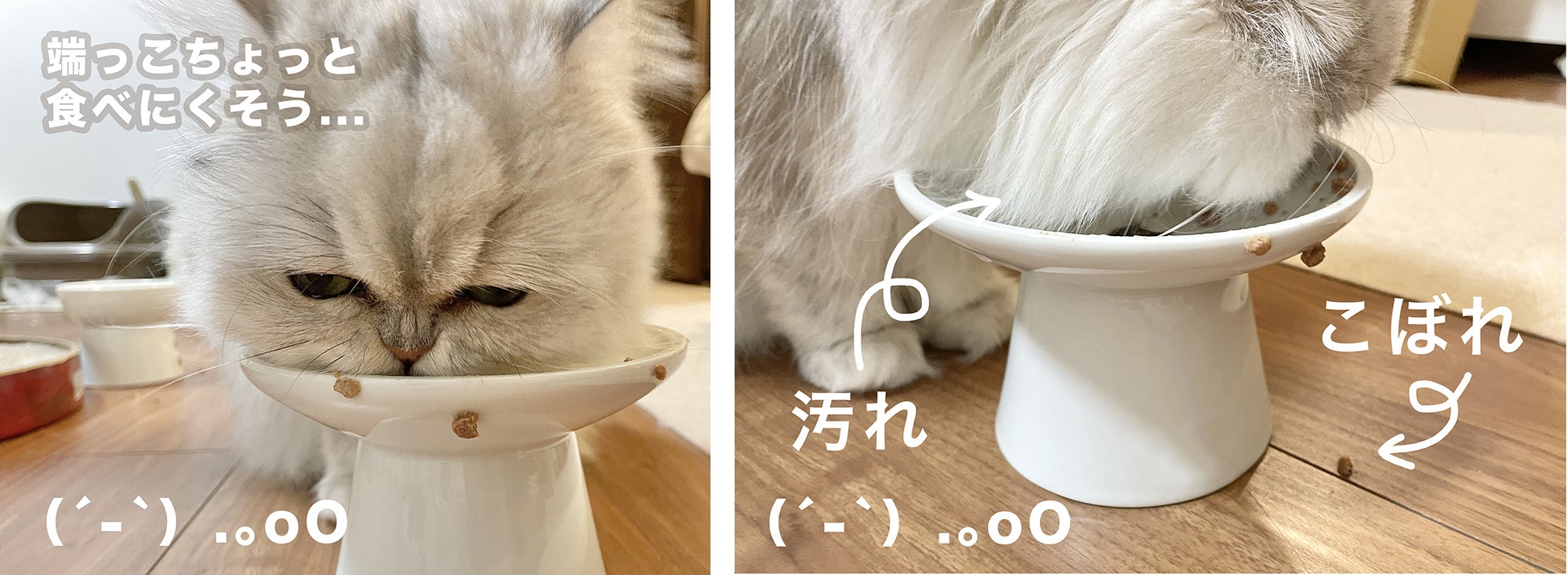 鼻ぺちゃ猫にも優しいフードボウル パウ ボウル Onigiri を商品化したい Campfire キャンプファイヤー 鼻ぺちゃ猫にも優しいフードボウル パウ ボウル Onigiri を商品化したい Campfire キャンプファイヤー