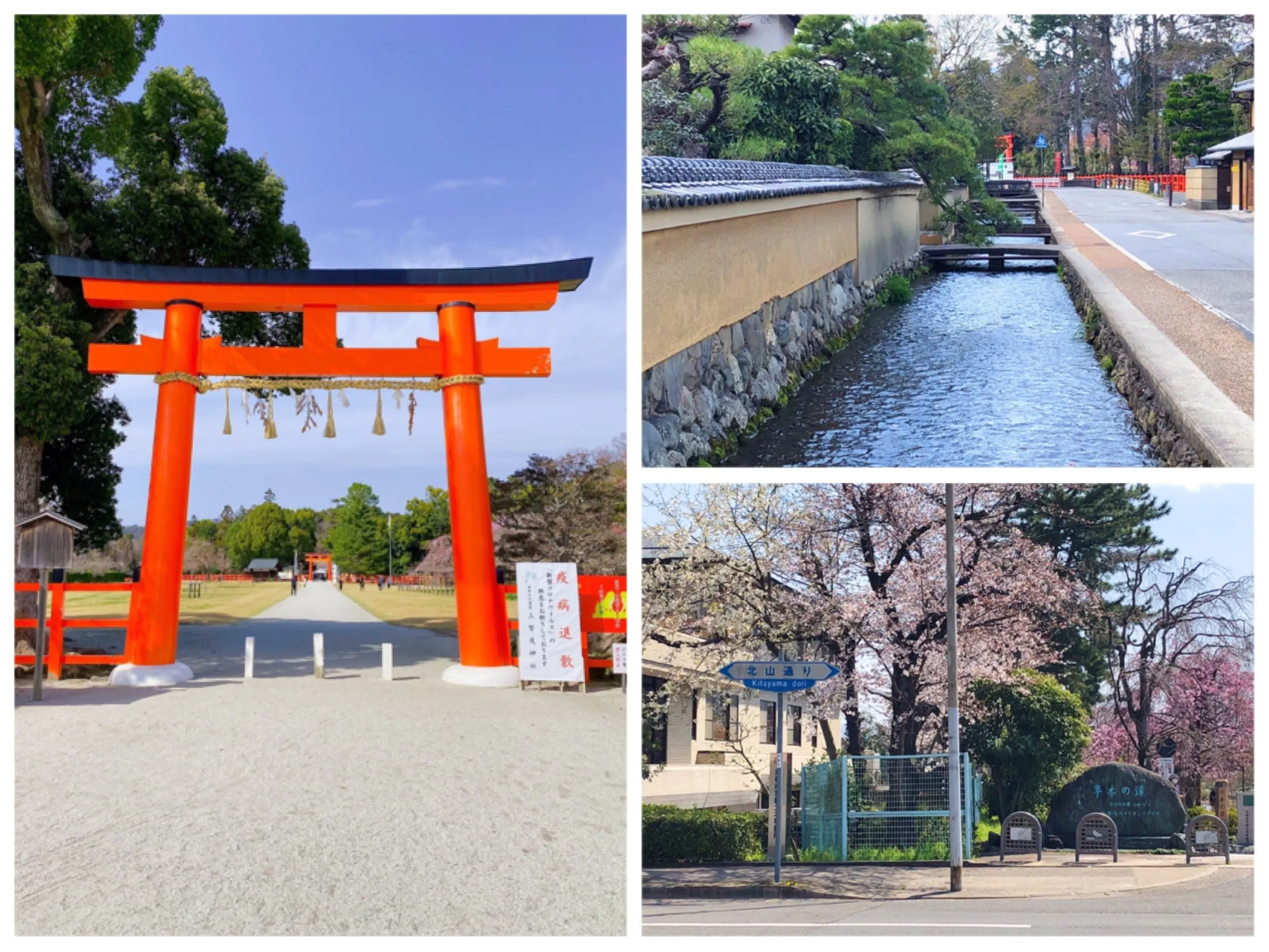 京都北山 西賀茂地域活性化プロジェクト Campfire キャンプファイヤー 京都北山 西賀茂地域活性化プロジェクト Campfire キャンプファイヤー