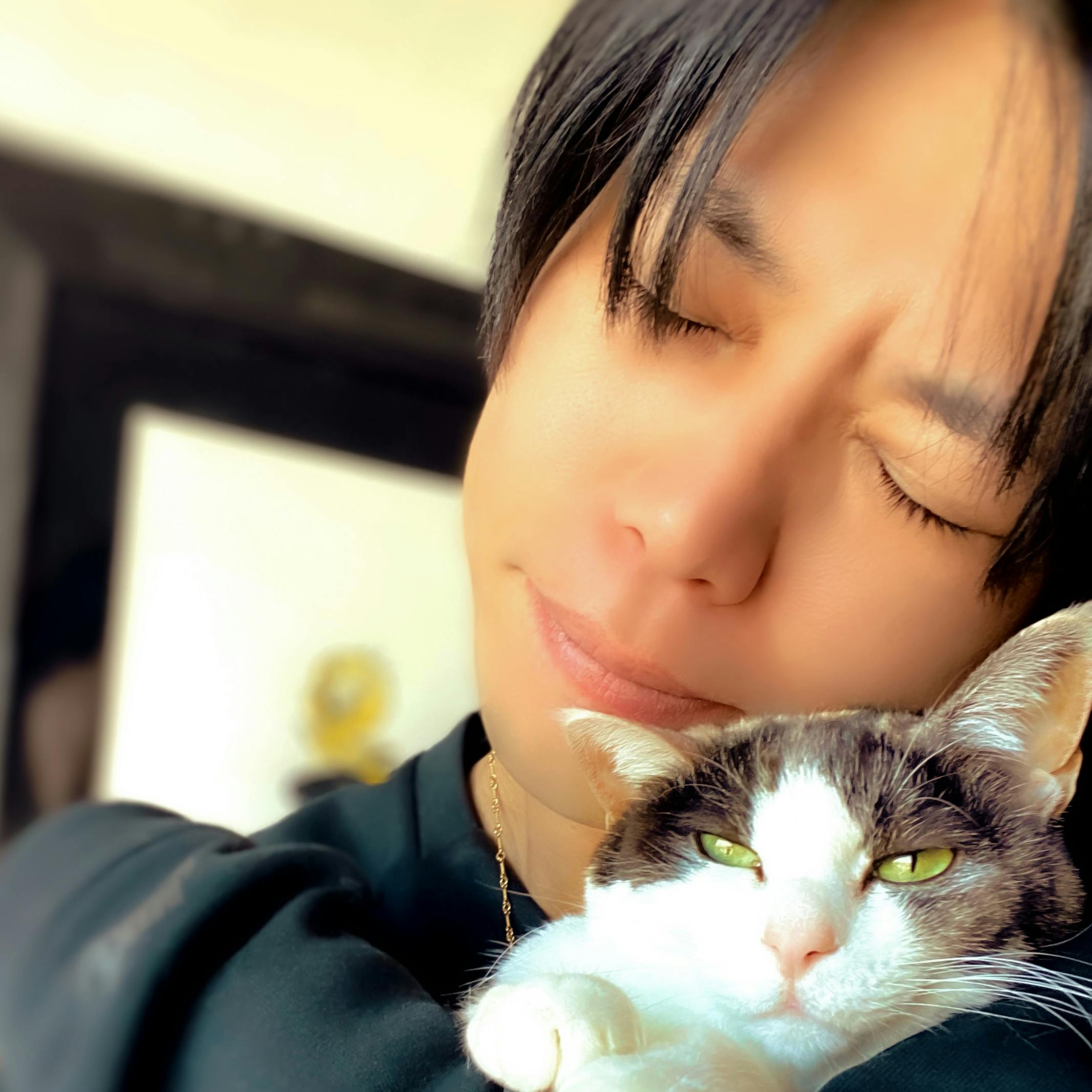 猫のななちゃんの為に作るcdプロジェクト Nana Campfire キャンプファイヤー 猫のななちゃんの為に作るcdプロジェクト Nana Campfire キャンプファイヤー